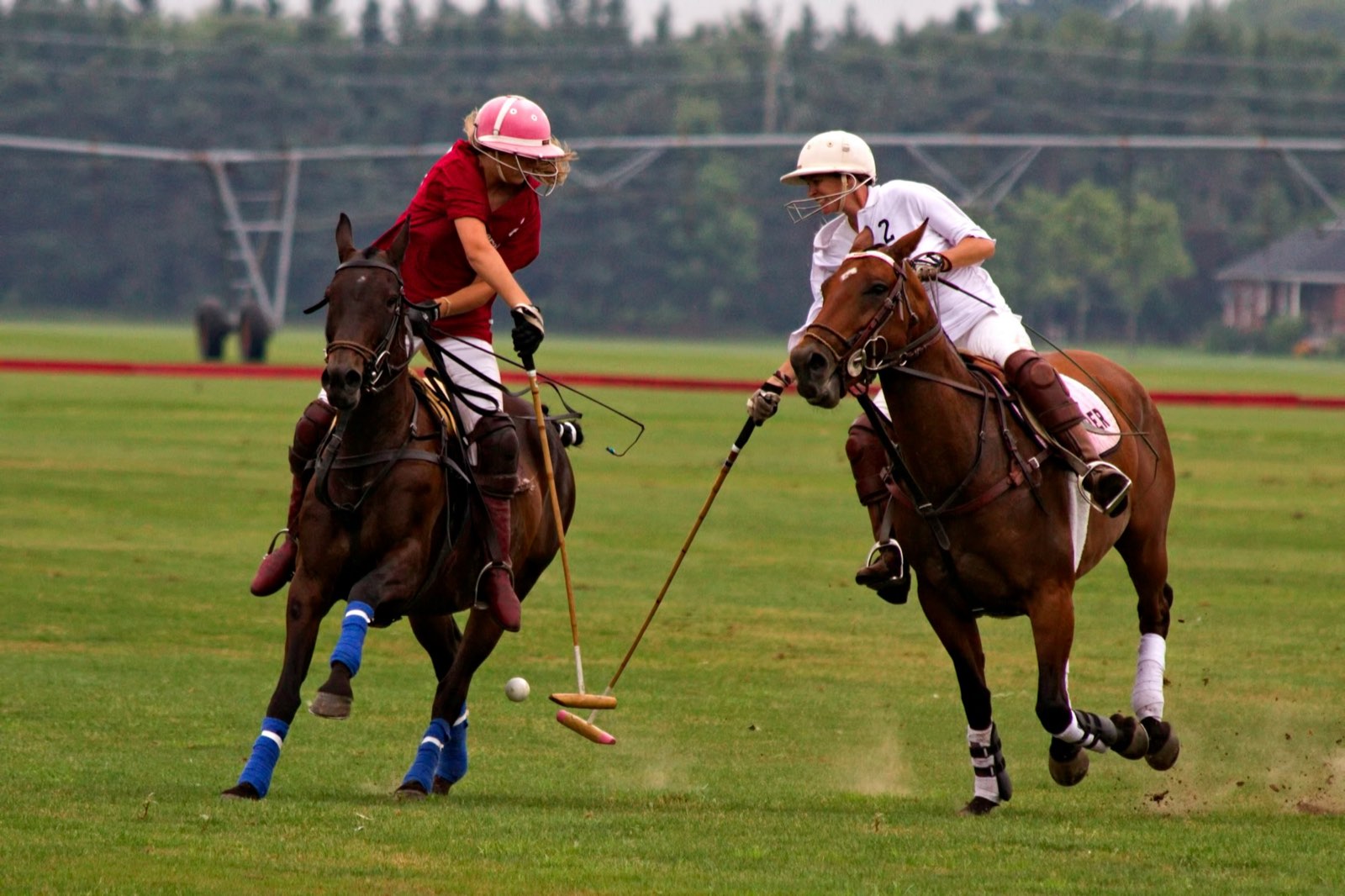 Polo: Argentine Open Final