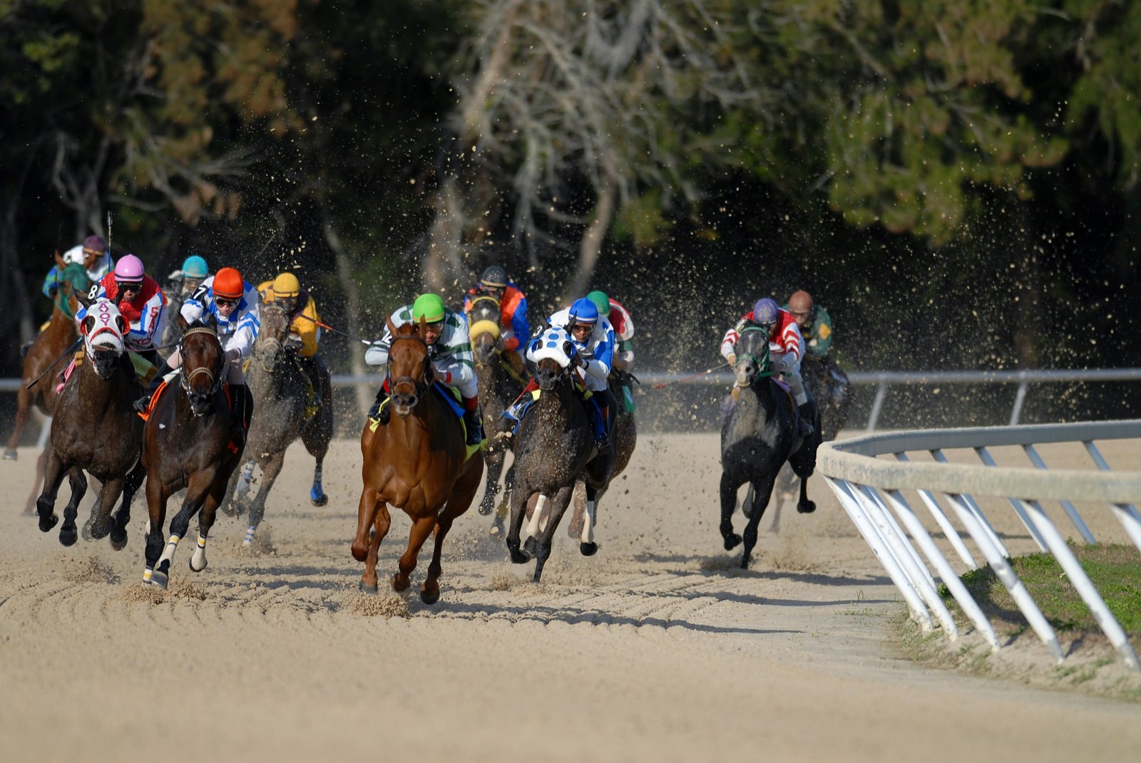 Preakness Stakes