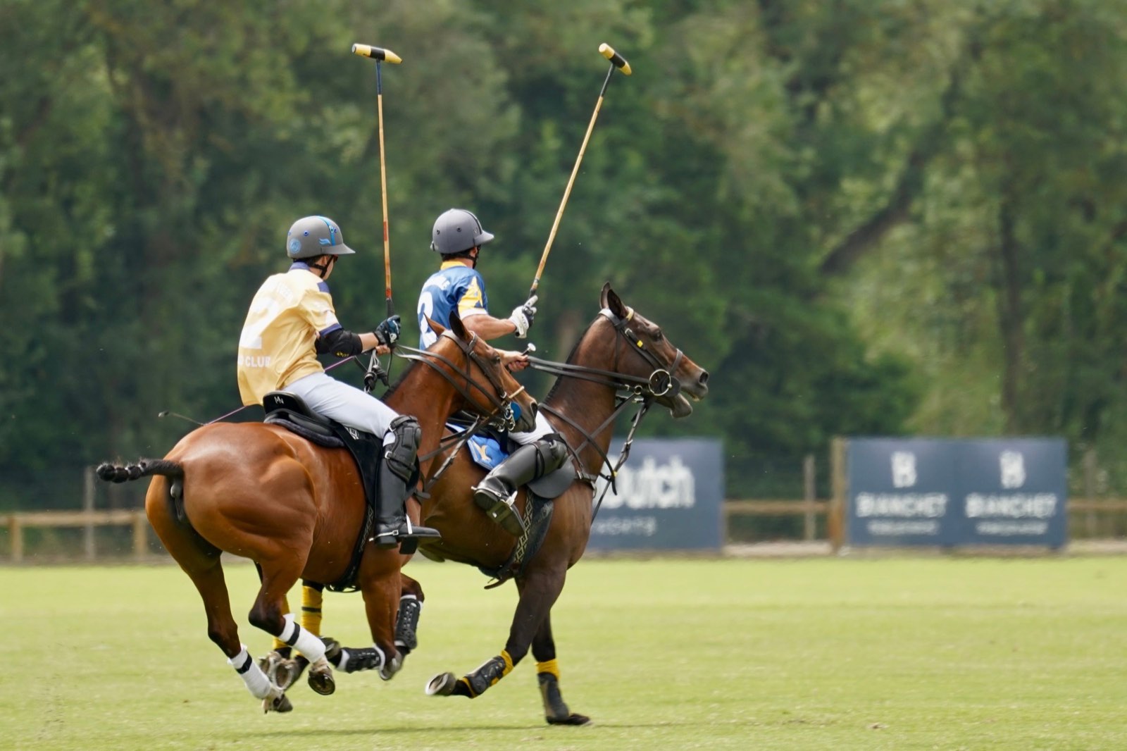 Royal Windsor Cup (polo)