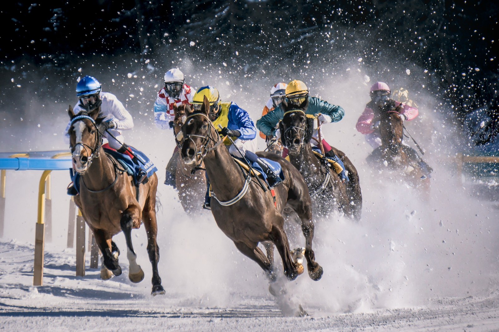 Snow Polo